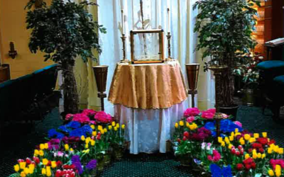 Flowers for Our Blessed Easter Season