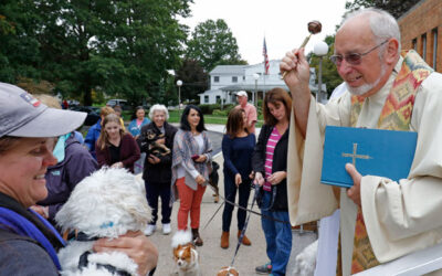 St. Francis Day Blessing of the Animals.
