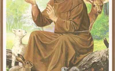 St. Francis of Assisi Patron Patron of our Parish 2022