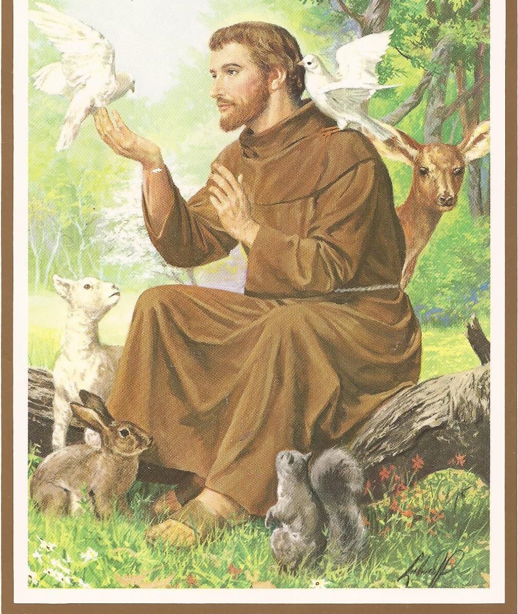 St. Francis of Assisi Patron of our Parish 2022 - St. Francis of Assisi  Roman Catholic Church